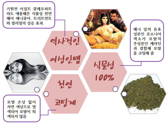 퀸즈헤나체험교실 이미지
