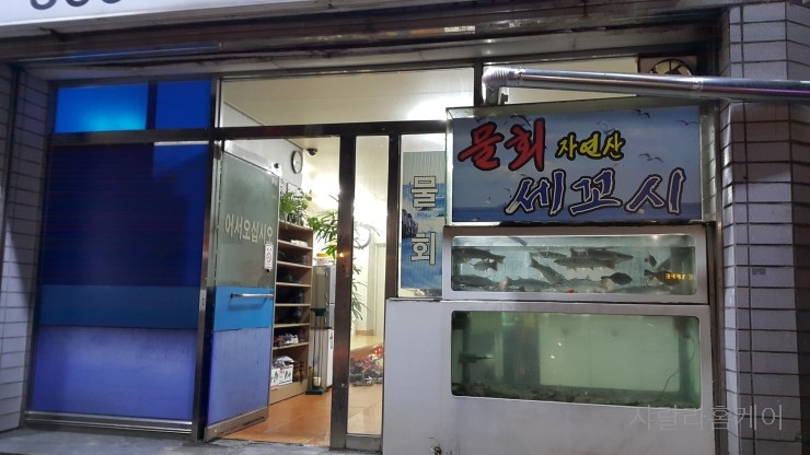 삼우삼천포 이미지