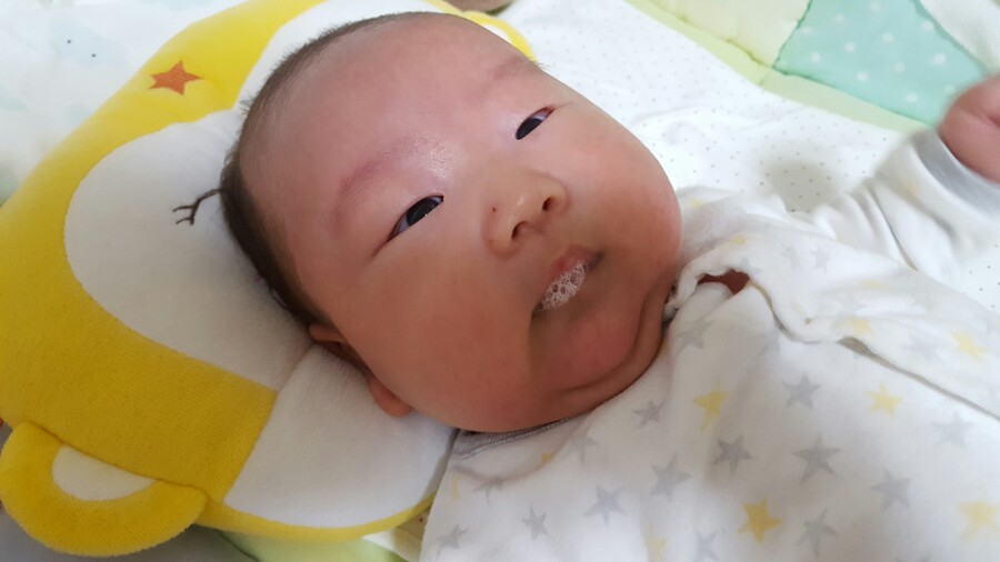 오복이몰 이미지