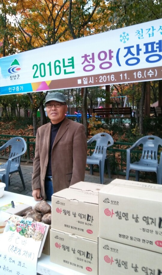 칠갑산둥근마 이미지