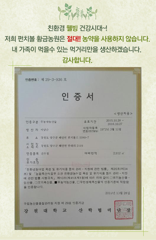 해안시래기 이미지