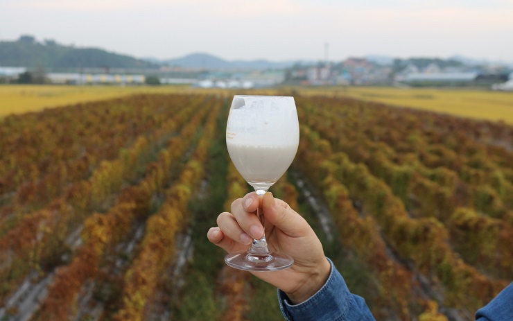 칠갑산둥근마 이미지