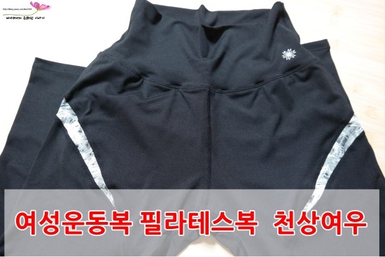천상여우 이미지