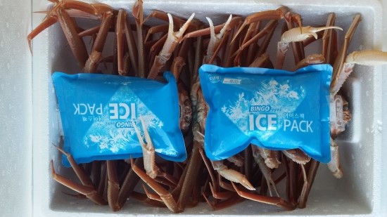 백년대게 이미지