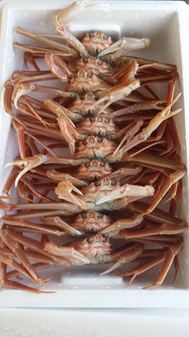 백년대게 이미지