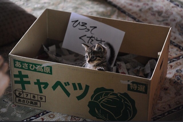 영화세상 이미지