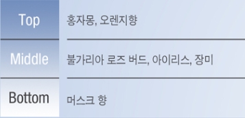 아이리스플라워 이미지