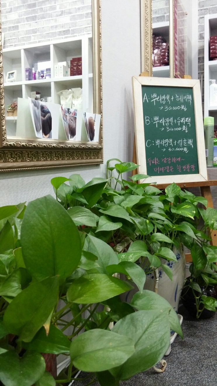 머리염색전문점 이미지