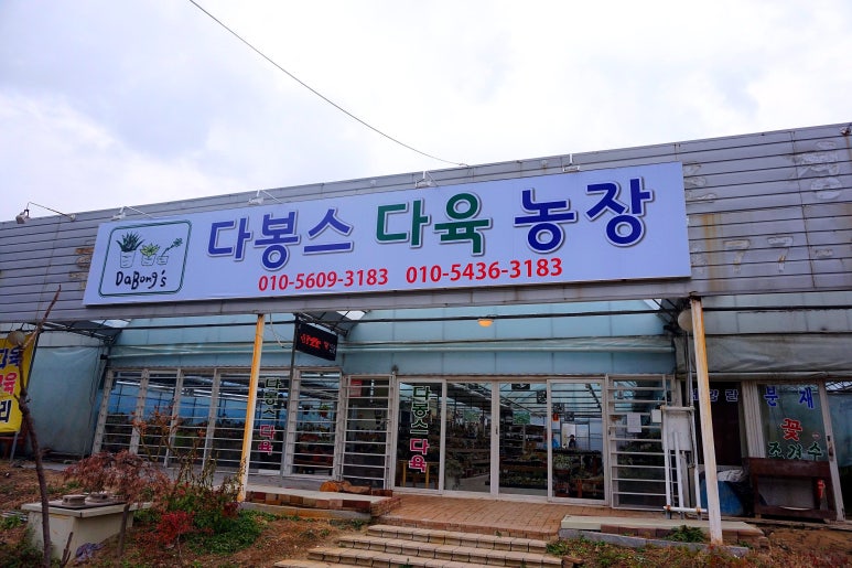 다봉스다육 이미지