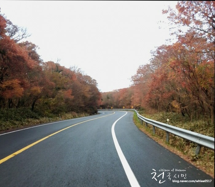 바다를누리다 이미지