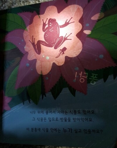 동화숲 이미지