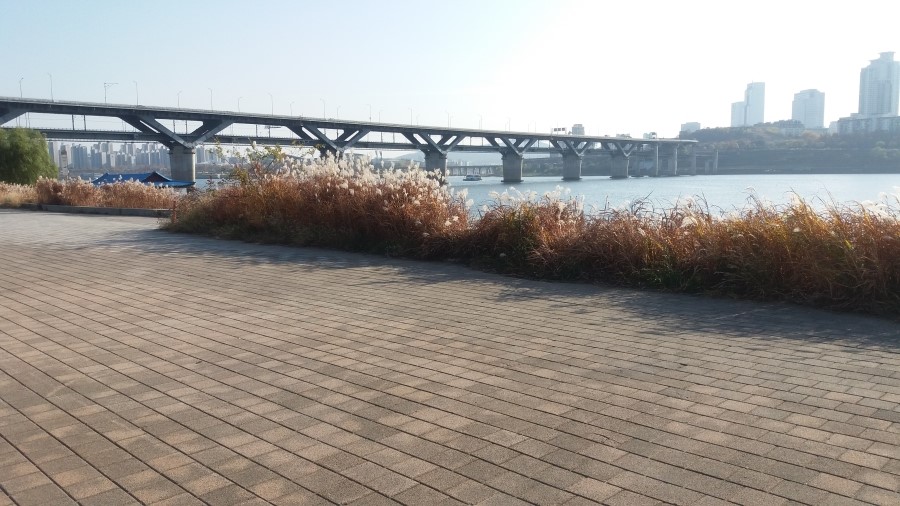대교자동차공업사 이미지