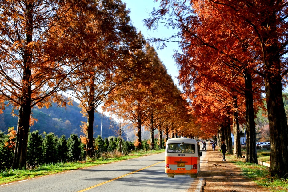 곰티(익산) 이미지