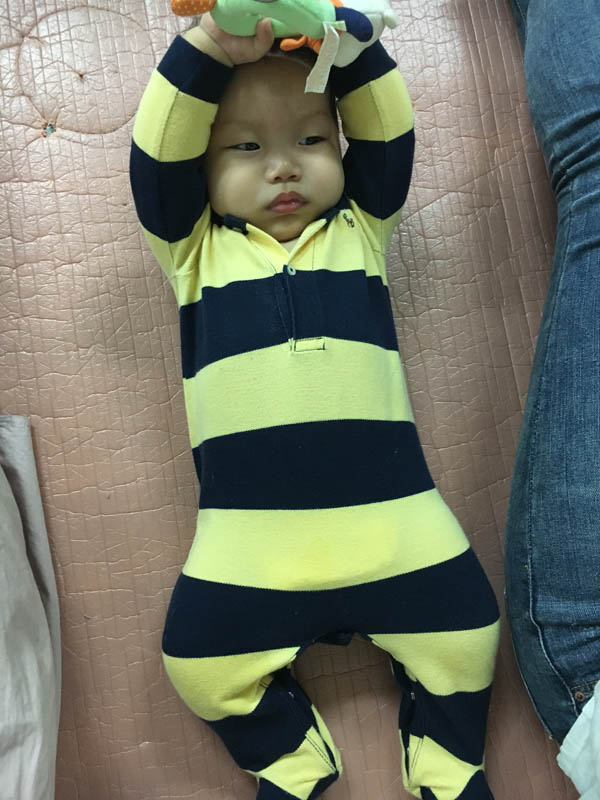 꼬노꼬노 이미지