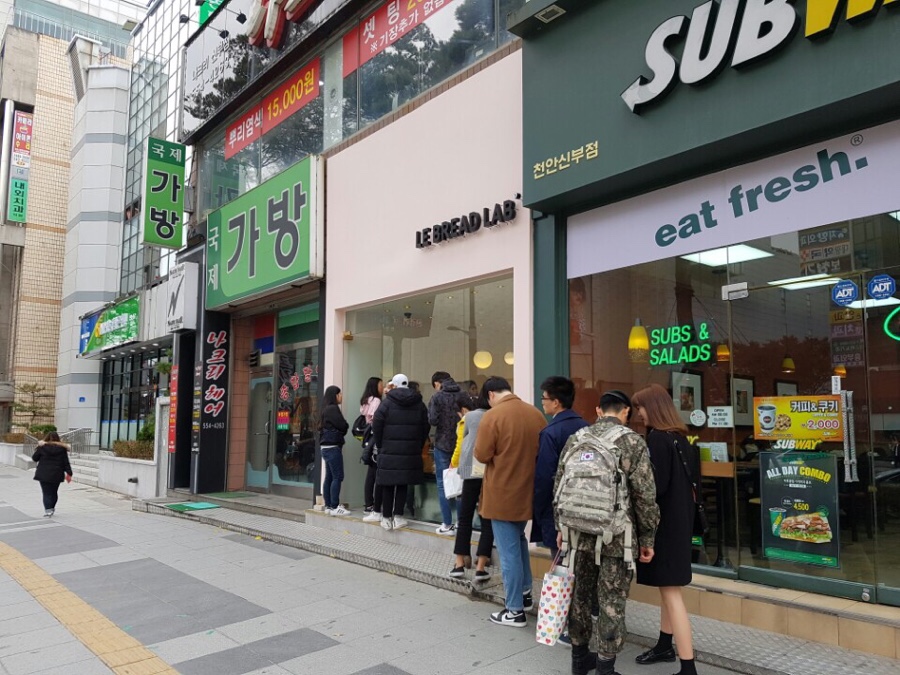 래드랩 이미지
