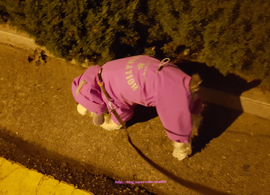 고고GoGo 이미지