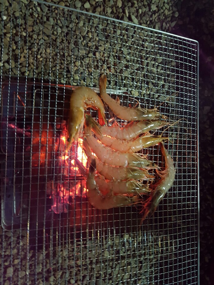 에코밸리캠핑장 이미지
