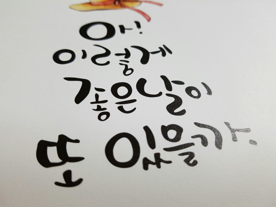 빛이물들다 이미지