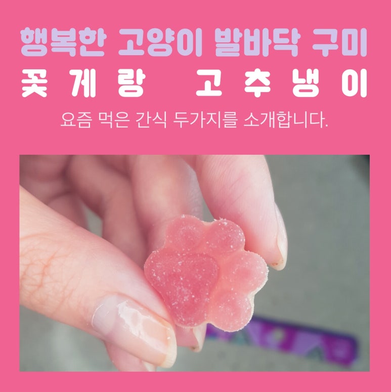 고양이와 와사비 이미지
