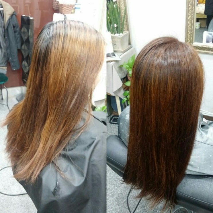 머리염색전문점 이미지