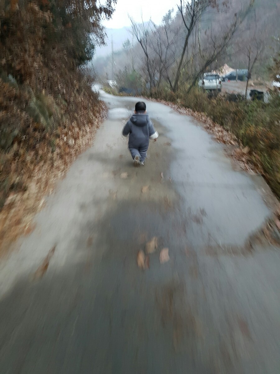예산느티나무캠핑장 이미지