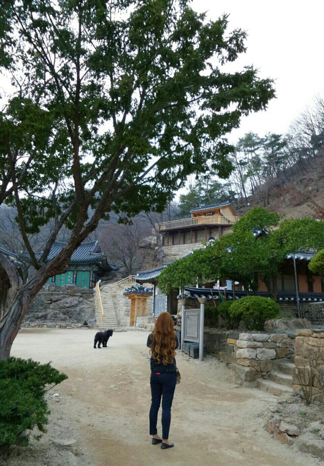이가자헤어비스롯데광명 이미지