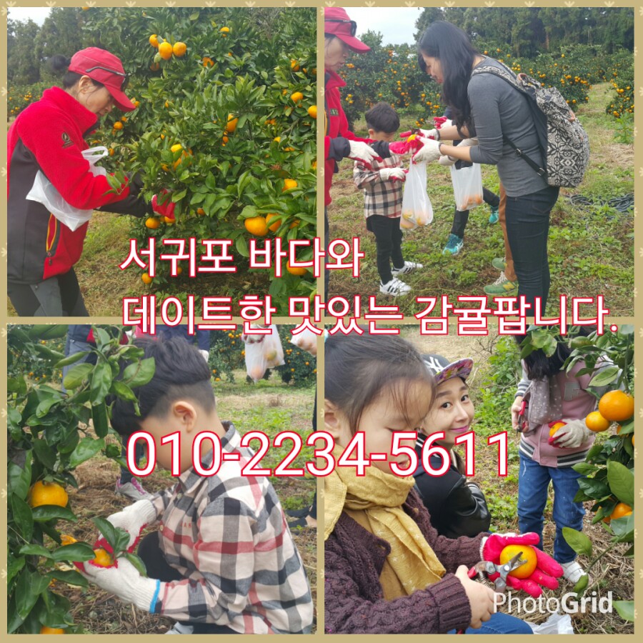 김인순의허니제주 이미지