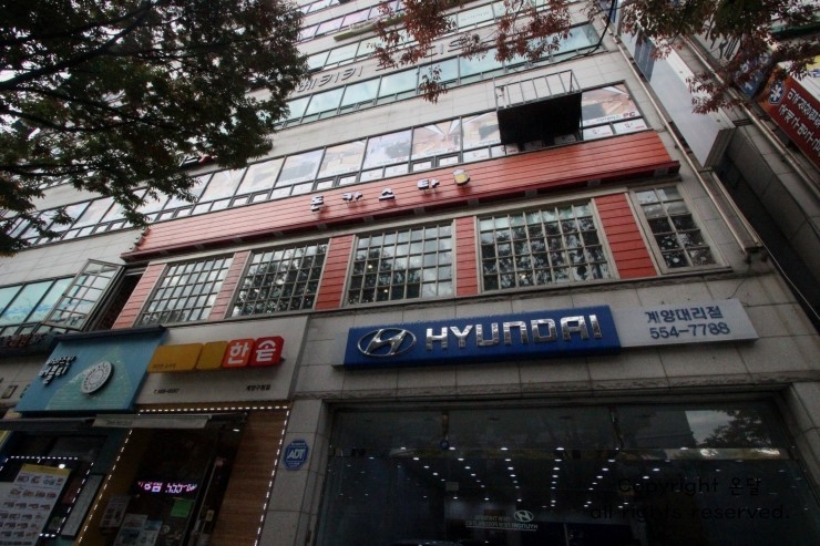 돈카스타 이미지