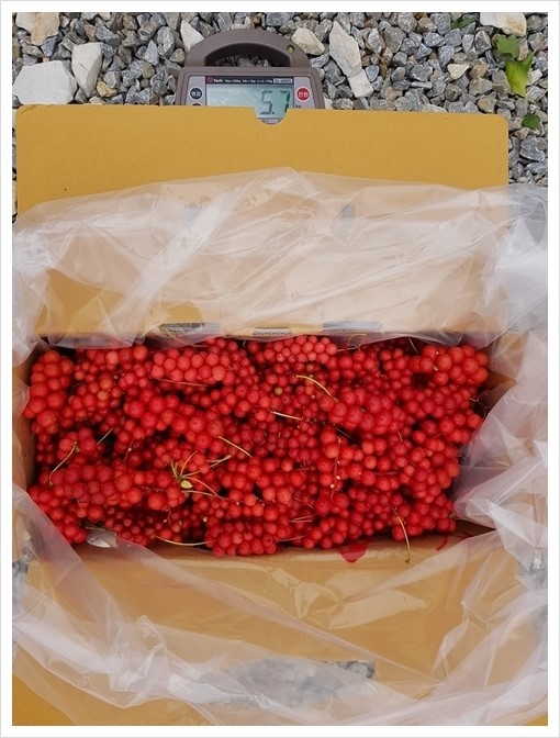 (주)아이엠오 이미지