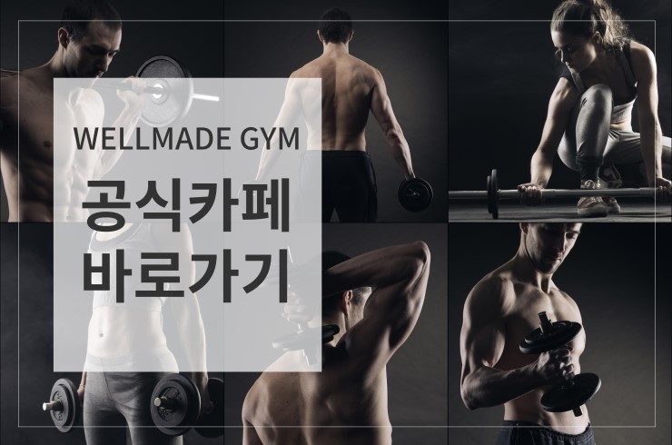 웰메이드짐 이미지