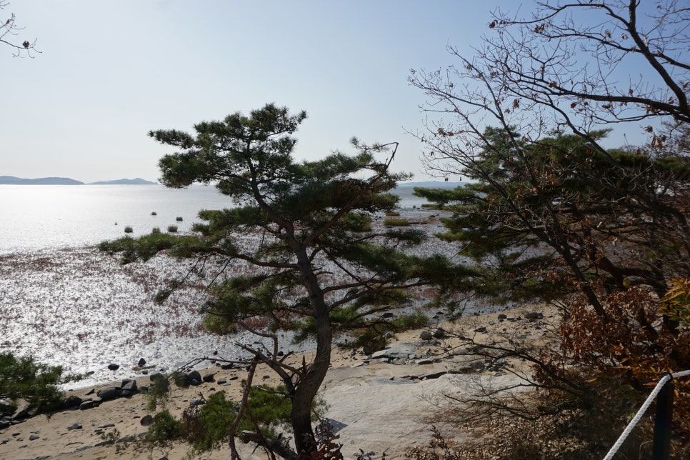 카페 뷰(Cafe View) 이미지