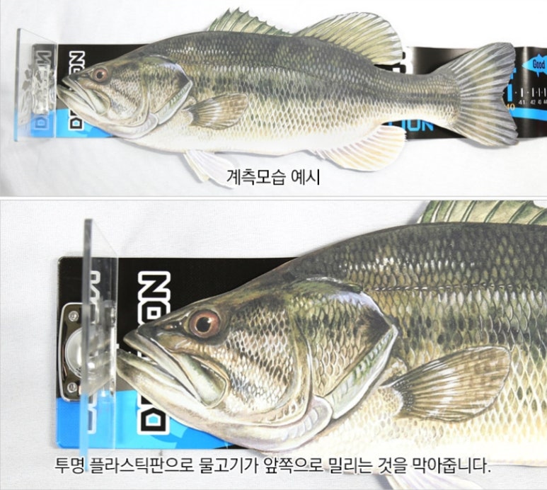 D-델리 이미지