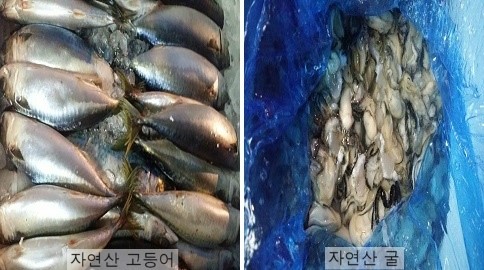 정강식품 이미지