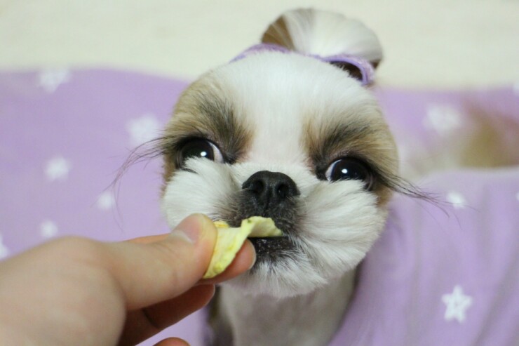 (주)아콩 이미지
