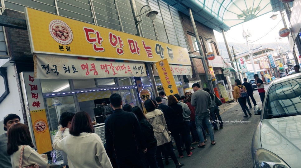 단양마늘만두 이미지