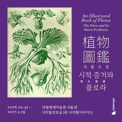 한국식물관리 이미지