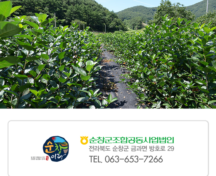 순창군조합공동사업법인 원예사업소 이미지