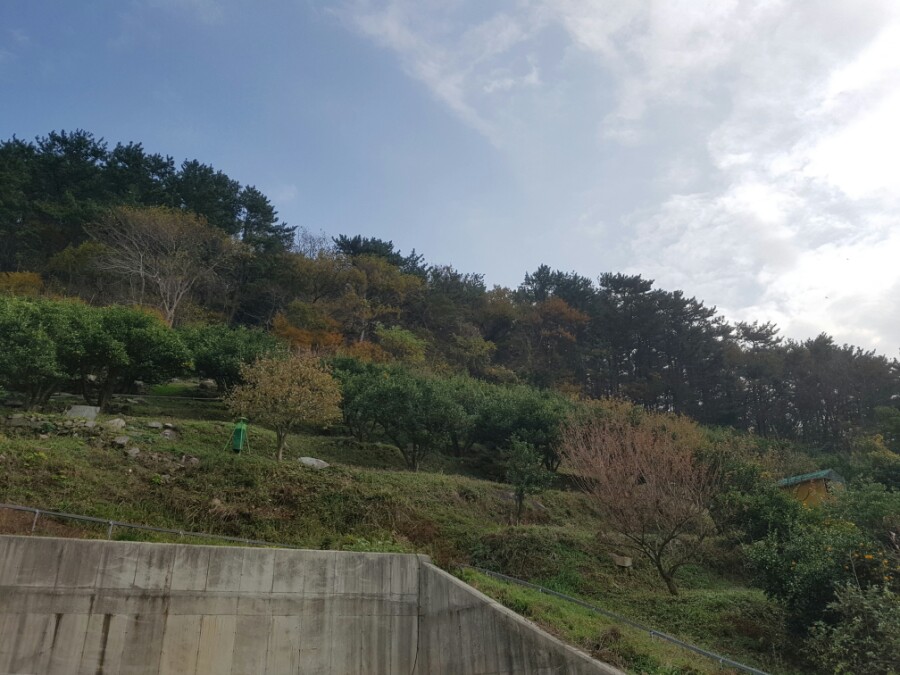 유자향기펜션 이미지