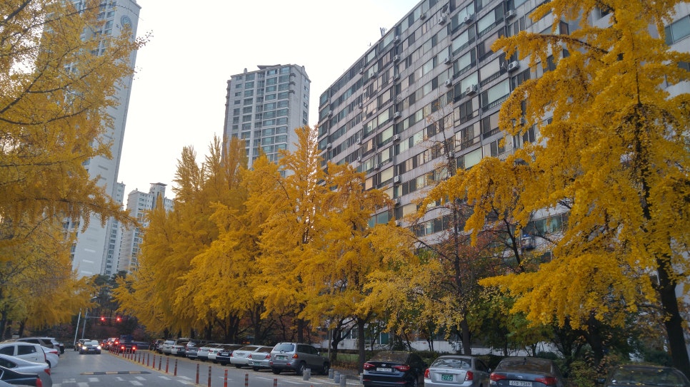 제이스산업안전 이미지