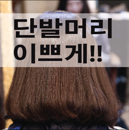 송아미용실 이미지