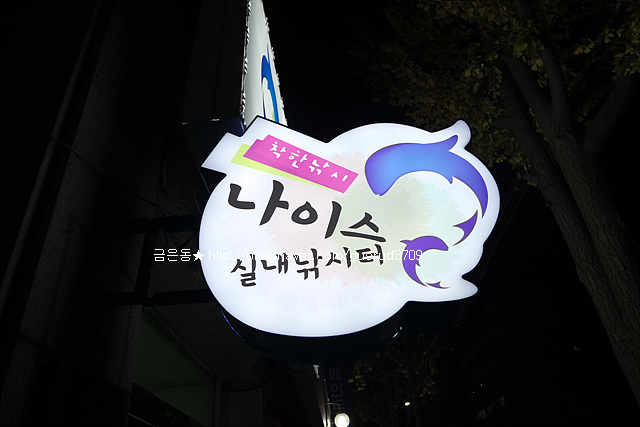 나이스실내낚시터 이미지