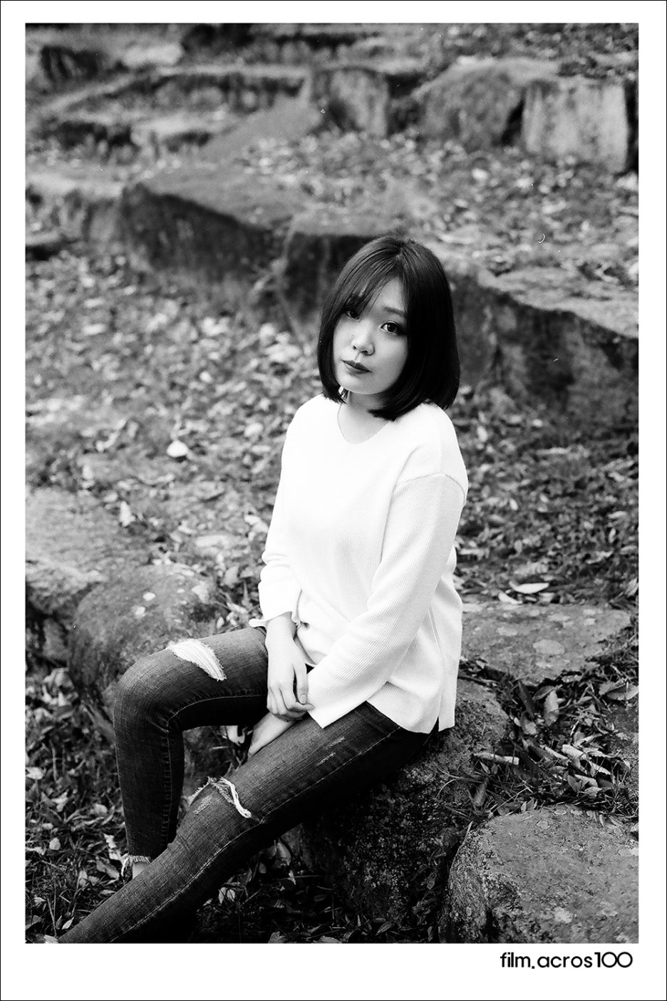 미도칼라 이미지
