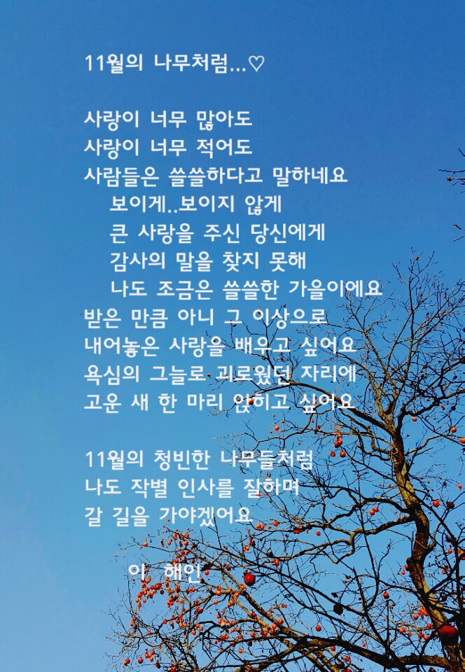 오늘의그릇 이미지