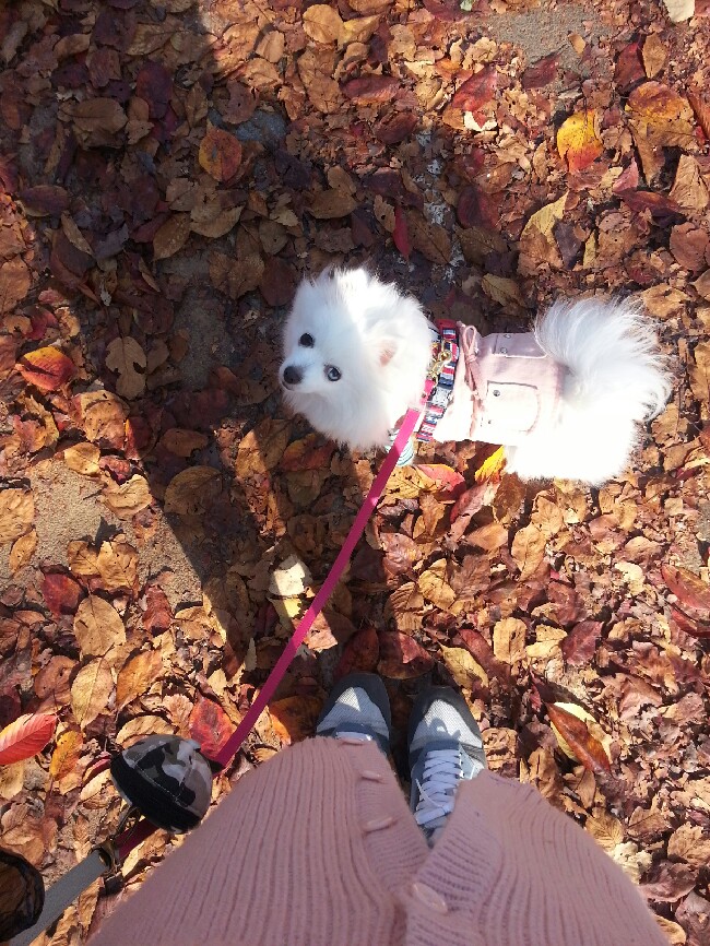 까꿍이네 이미지