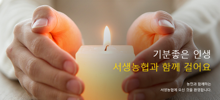 서생농협하나로마트 이미지