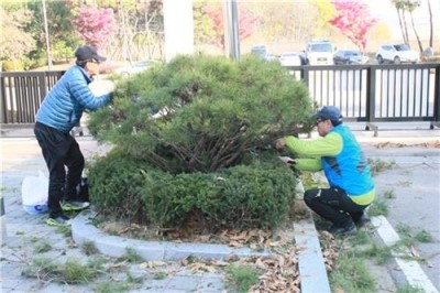 경기시민정원사협동조합 이미지
