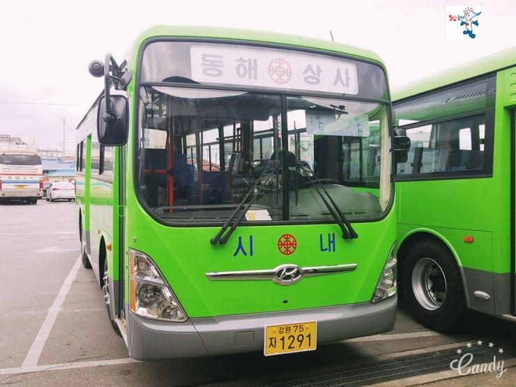 현대기아상사 이미지