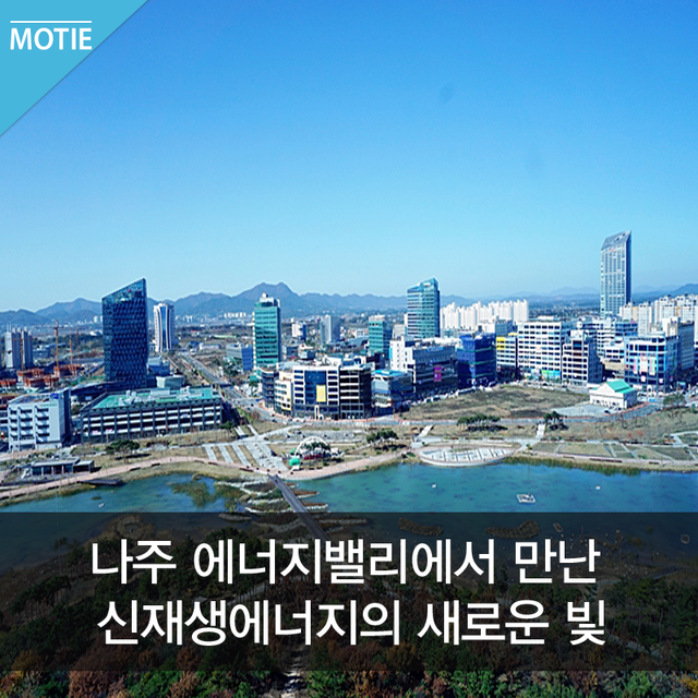 나주목사골배 이미지
