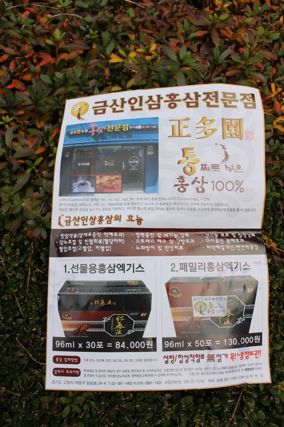 홍삼 정다원 이미지