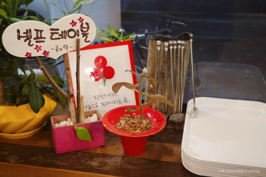콩과밀 이미지